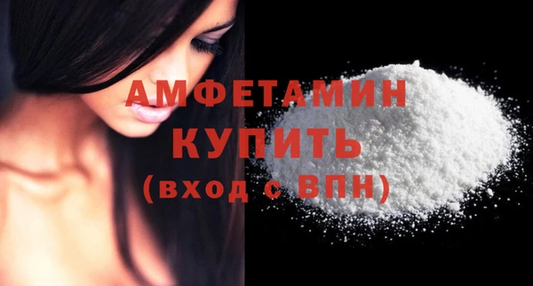хмурый Бородино