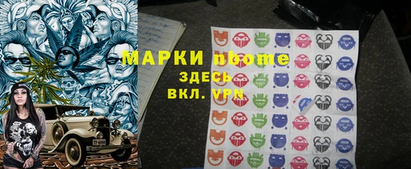 хмурый Бородино