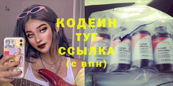 хмурый Бородино