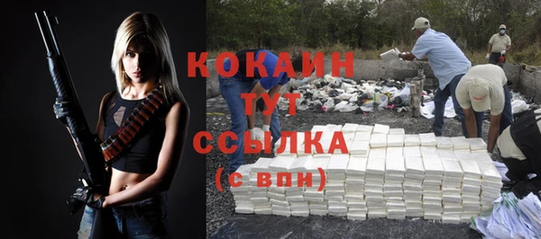 хмурый Бородино