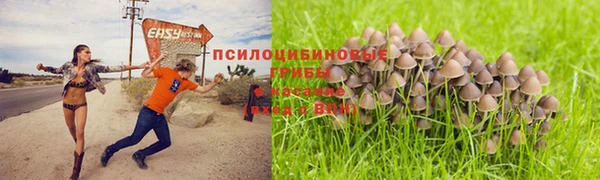 хмурый Бородино