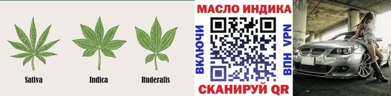 дарнет шоп Новозыбков ТГК Wax