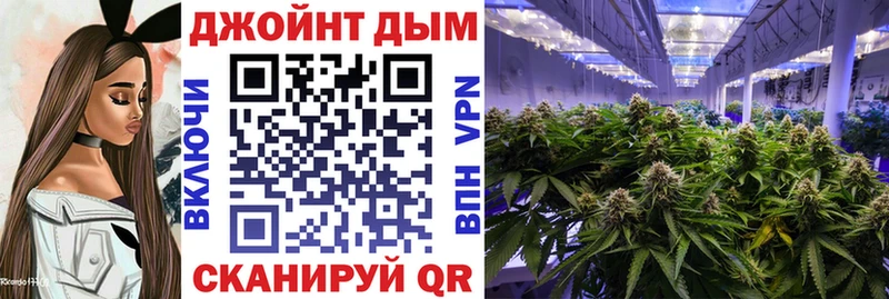 цена Новозыбков Каннабис план